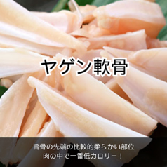 ヤゲン軟骨/鶏もも