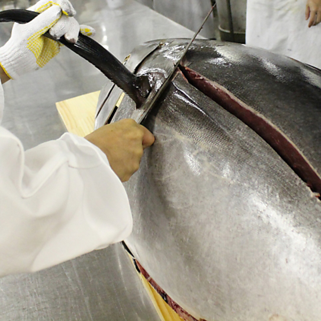 牡蠣・伊勢海老・蟹・まぐろなど自慢の海鮮料理をご堪能♪海鮮料理なら当店で！