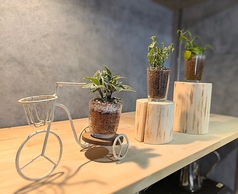 カフェ琥珀と車輪は古民家1階にあります。同じ建物内にフレンチレストラン「キャトルセゾン宗像」（2階）、七輪焼きレストラン「sumiya菜恵の麓」（1階奥、2階）と形態の違う飲食店が3店舗入っています。