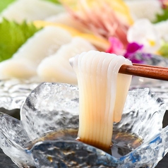 ヤリイカ お刺身