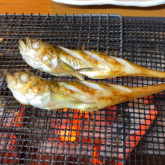 ハタハタ干物一尾