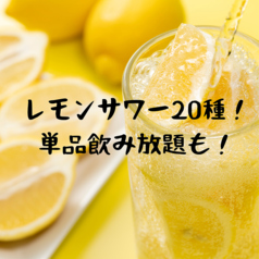 海王酒場 舞 関内店特集写真1