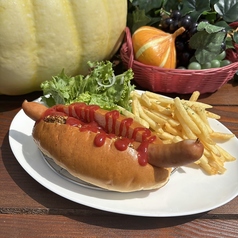 ホットドックセット