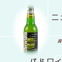 ニュートン(ベルギー)