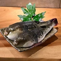 職人の確かな目利きで厳選した贅沢な魚介