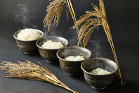 出来立てホクホクご飯が銘柄和牛の相性を引き立てる！