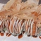 揚げたこ焼き