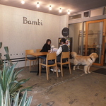 愛犬とテラスで心地よい夜を。ペット可のオトナノイザカヤBambiなら大型犬も同伴可能