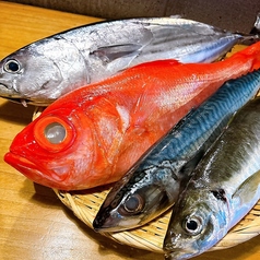 海土魯のおすすめ料理2