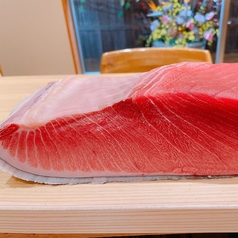 中トロ