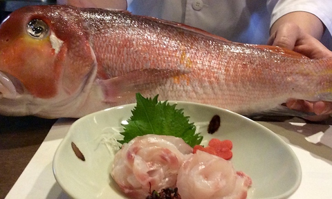 明石湾より直送の鮮魚・蛸・穴子料理をご提供。
