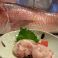 魚棚 ふみ文の画像