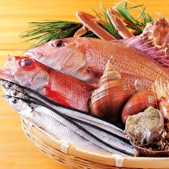 旬魚旬菜 極DINING 若旦那 新潟駅前店のコース写真