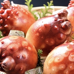 宮城の旬が勢揃い!三陸名物ほや刺身や旬野菜など。