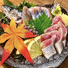 さんま刺身