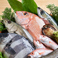市場で仕入れた新鮮なお魚は、静岡県沼津、千葉、九州などの産地から直送される鮮魚を皆様にお届けします。新鮮さにこだわり、旬の味を存分に楽しんでいただけるよう心がけています。ぜひ当店で新鮮なお魚料理をお楽しみください！