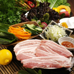 焼肉 創作韓国料理 韓国さくら亭 西大路 本店のおすすめ料理3