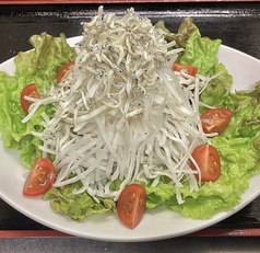 大根とジャコのサラダ
