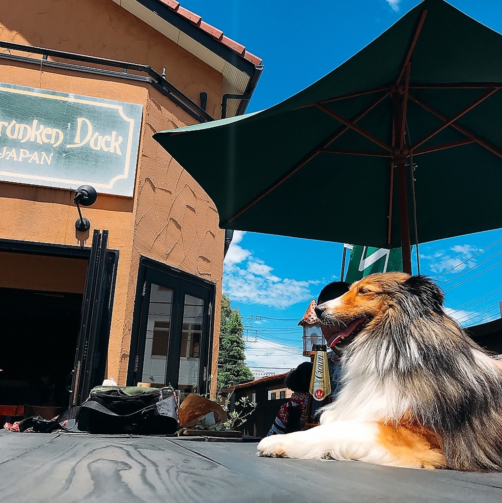 人気なテラス席はペット同伴OK！