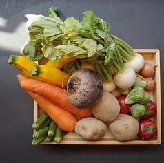 その日の旬野菜