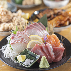 大衆居酒屋 GoGASHA53 ゴウガシャの特集写真