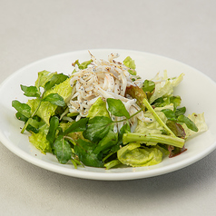 和歌山産 釜揚げしらすとクレソンのアテサラダ