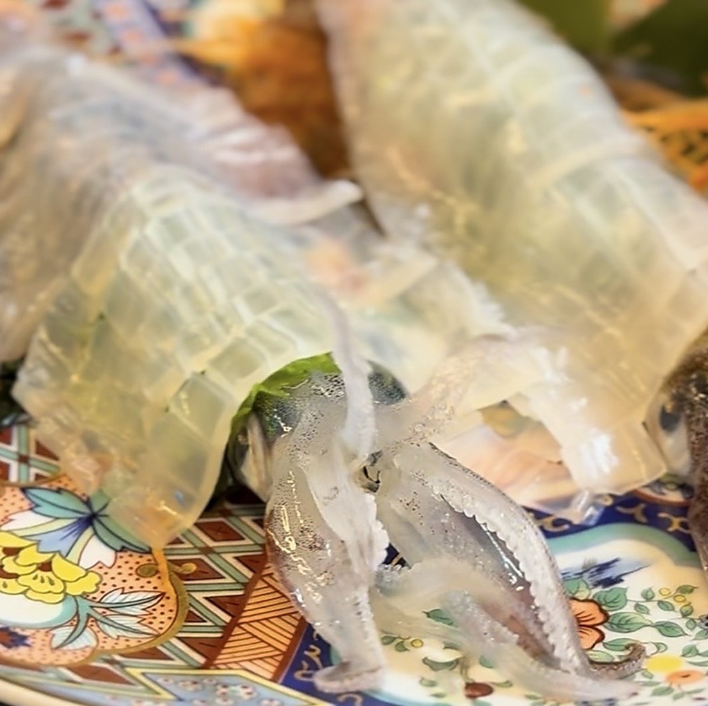 こだわりの和牛博多もつ鍋と玄界灘の遊漁料理のお店です。ヤリイカは宗像神湊港より自社活魚車で仕入