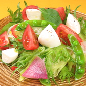 ■柏人気メニュー　熊本産塩トマトとモッツアレラチーズのサラダ