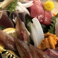 料理メニュー写真&nbsp;今が旬の鮮魚