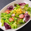 料理メニュー写真 五種の旬野菜の彩りサラダ