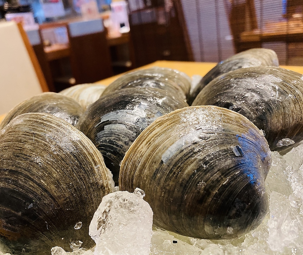 魚HIDEの写真ギャラリー