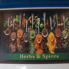 インド料理&BAR ニューデリのコース写真