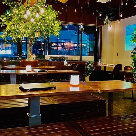 �a�J�K�[�f���X�y�[�X ������X