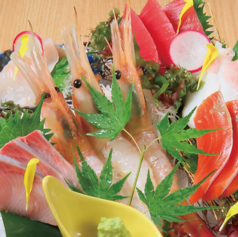 刺身六点盛りあわせ