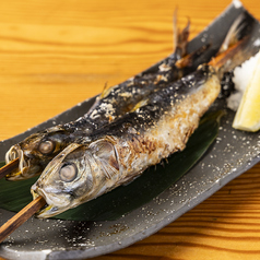 名物大トロいわし