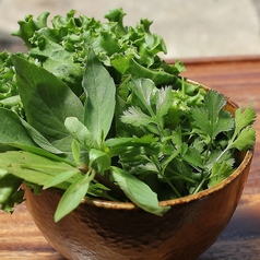 バイマイサーファン