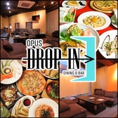 OPUS DROP IN