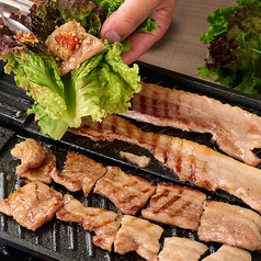 鉄板サムギョプサル＆韓国料理 みや御苑 鶴田本店の写真3