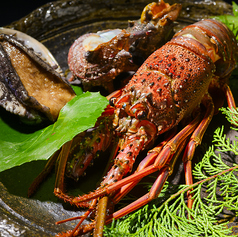 酒家 魚肉菜 虹晴れのコース写真