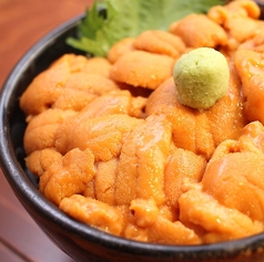 生ウニ丼