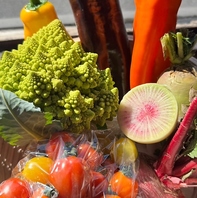 契約農家から届く旬な野菜