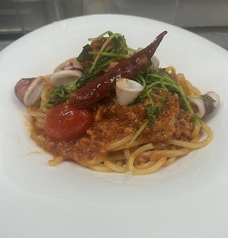 やりいかと豆苗のラグートマトソース