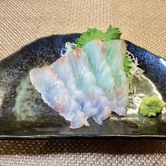 ヒラメ刺身