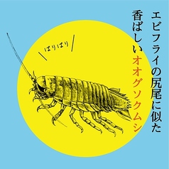 オオグソクムシ/タガメ