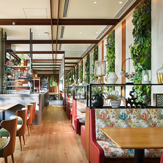 開放感あふれる明るい空間に、ゆったりとくつろげるテーブル席では、大きな窓から自然光が差し込み緑豊かな店内が心を和ませてくれます。家族や友人と一緒に、リラックスした時間を過ごすのにぴったりの場所です。デートにも最適な雰囲気で、本格的なメキシコ料理と多彩なドリンクが特別なひとときを演出します。