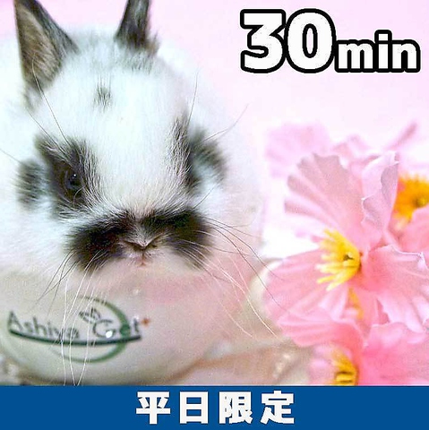 Ashiya月兎 ぷらす(住吉/カフェ・スイーツ)＜ネット予約可