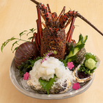 〈蒲江産〉伊勢海老の姿造り5,500円 / 自慢の500gサイズの伊勢海老はしっかりと甘味の強い身質です。