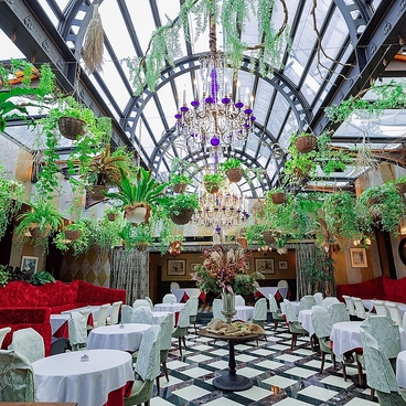 ステラートの雰囲気1