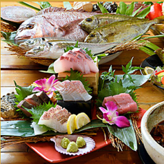 九州より毎日直送!!