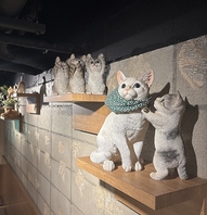猫屋の猫ちゃん！店内はまさに猫のパラダイス♪